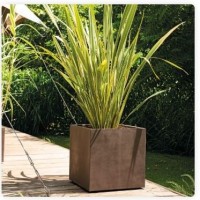 Cubo millenium brownstone