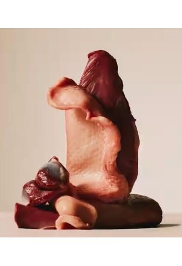 Pato y faisan pienso seco 2kg carnilove esteriliza-2