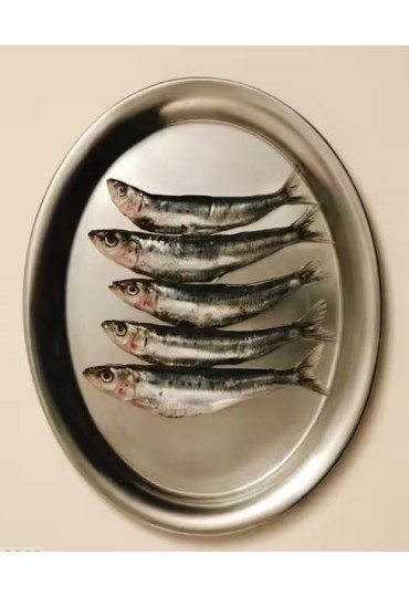 Soft snack sardina con fresa 50g carnilove-2