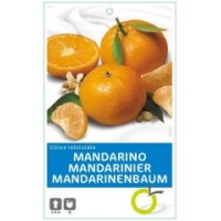 Mandarino 10 lt
