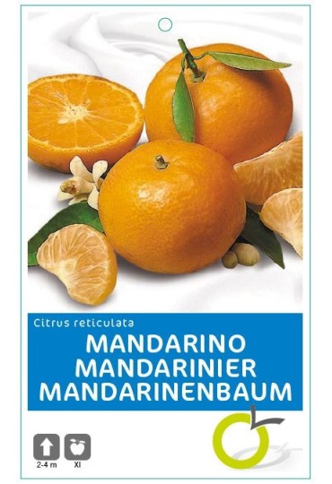 Mandarino 10 lt