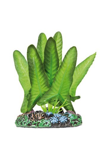 ICA PLANTA DE SEDA ACUÁTICA  SYNGONIUM 20 CM