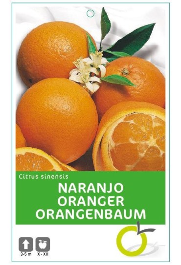 Naranjo  10 lt