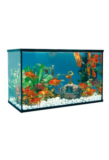 ACUARIO KIT ACUARIO HAPPY PEZ 8L