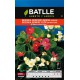 SEMILLA BEGONIA SEMPERFLORENS VARIADA BATLLE