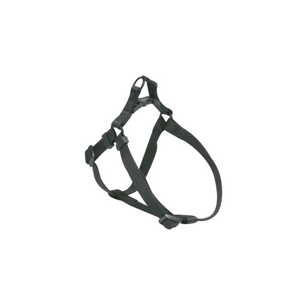 flamingo easy walker