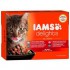 IAMS SALSA OCEAN FISH PEAS 85 GR