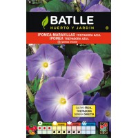 BATLLE IPOMEA AZUL