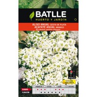 BATLLE SEMILLA DE ALISO ANUAL CESTA DE PLATA