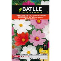 BATLLE SEMILLA COSMOS SENSACIÓN FLOR GIGANTE