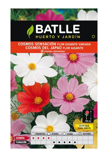 BATLLE SEMILLA COSMOS SENSACIÓN FLOR GIGANTE