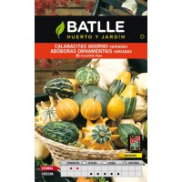 BATLLE CALABACITAS ADORNO VARIADAS