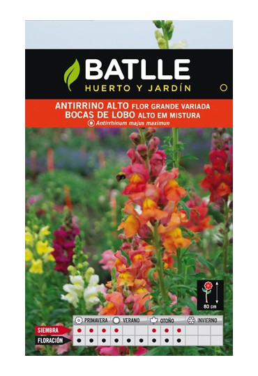 BATLLE SEMILLA DE ANTIRRIO ALTO FLOR GIGANTE VARIADO