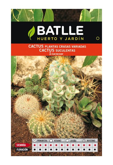 BATLLE SEMILLA DE CACTUS