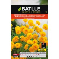BATLLE SEMILLA COREOPSIS VIVAZ DOBLE AMARILLO