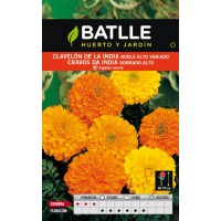 BATLLE SEMILLA DE CLAVELÓN INDIA DOBLE ALT VARIADO
