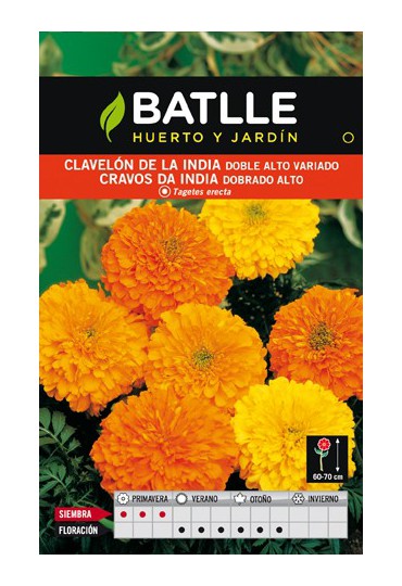 BATLLE SEMILLA DE CLAVELÓN INDIA DOBLE ALT VARIADO