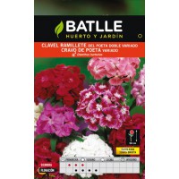 BATLLE SEMILLA DE CLAVEL RAMILLETE DEL POETA VDO.