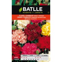 BATLLE SEMILLA DE CLAVEL DOBLE VARIADO