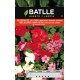 BATLLE SEMILLA DE ALEGRÍA DE LA CASA