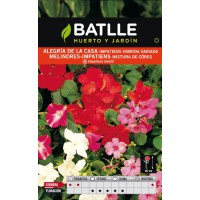 BATLLE SEMILLA DE ALEGRÍA DE LA CASA