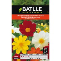 BATLLE SEMILLA  DALIA UNWIN SEMI ENANA DOBLE VIDA