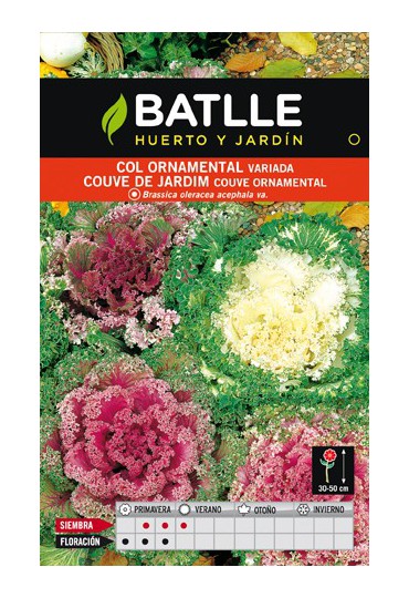 BATLLE SEMILLA DE COL ORNAMENTAL VARIADA