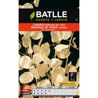 BATLLE SEMILLA LUNARIA MONEDA PAPA