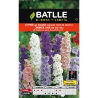 BATLLE SEMILLA DE ESPUELA ENANA FLOR DE JACINTO