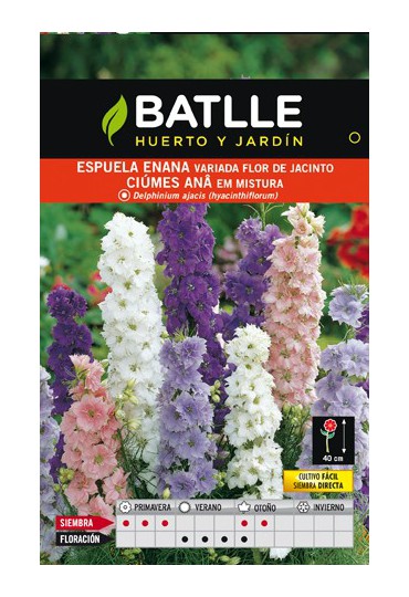 BATLLE SEMILLA DE ESPUELA ENANA FLOR DE JACINTO