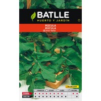 BATLLE SEMILLA DE RUCULA