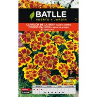 BATLLE SEMILLA DE CLAVELON DE INDIA TAGETE ENANO