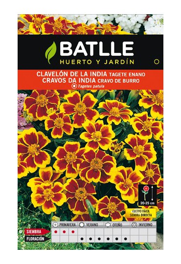 BATLLE SEMILLA DE CLAVELON DE INDIA TAGETE ENANO