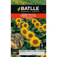 BATLLE GIRASOL PARA PIPAS BALLTE