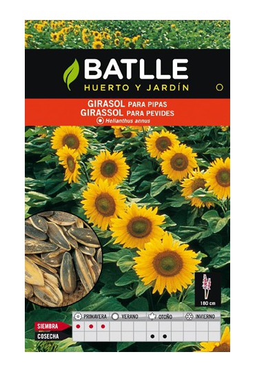 BATLLE GIRASOL PARA PIPAS BALLTE BATLLE GIRASOL PARA PIPAS BALLTE