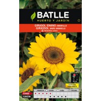 BATLLE SEMILLA DE GIRASOL ENANO AMARILLO