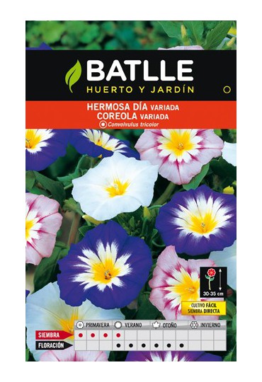 BATLLE SEMILLA DE HERMOSO DIA