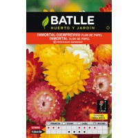 BATLLE INMORTAL-SIEMPREVIVA HELICHRYSUM