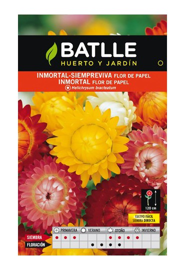 Semillas flores BATLLE INMORTAL-SIEMPREVIVA HELICHRYSUM | Mundo  Verde/Garden Center