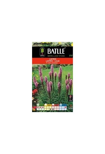 BATLLE LIATRIS