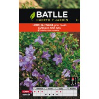 BATLLE SEMILLA DE LOBELIA ENANA AZUL CLARO