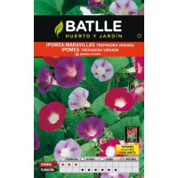 BATLLE SEMILLA DE IPOMEA-MARAVILLAS TREPADORA VDA.