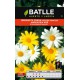 BATLLE SEMILLA DE MARGARITA ENANA PEQ. PRINCESA