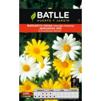 BATLLE SEMILLA DE MARGARITA ENANA PEQ. PRINCESA