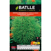 BATLLE KOCHIA MIRABEL DE CIPRES