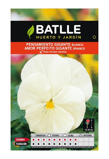 BATLLE SEMILLA DE PENSAMIENTO GIGANTE BLANCO