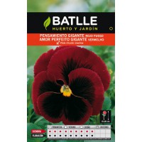 BATLLE SEMILLA DE PENSAMIENTO GIGANTE ROJO FUEGO
