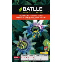 BATLLE SEMILLA DE PASIONARIA TREPADORA BLANCA