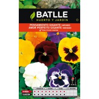 BATLLE SEMILLA DE PENSAMIENTO GIGANTE VARIADO