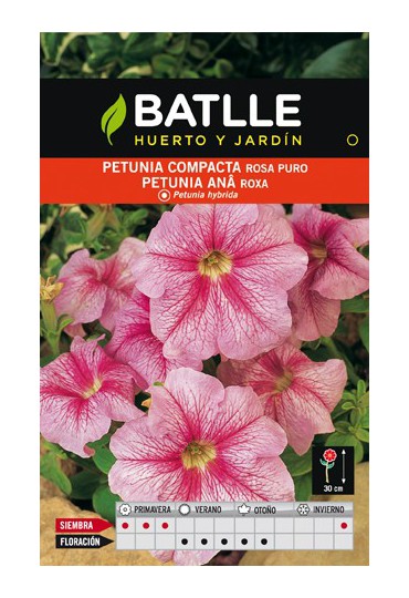 BATLLE SEMILLA DE PETUNIA COMPACTA ROSA PURO